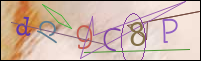 Registration Image