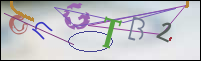 Registration Image