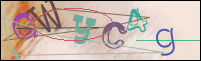 Registration Image