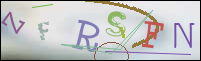 Registration Image
