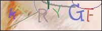 Registration Image