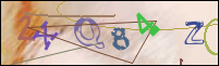 Registration Image