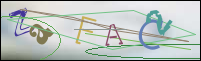 Registration Image