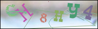 Registration Image