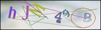 Registration Image