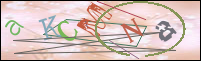 Registration Image