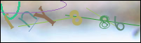 Registration Image