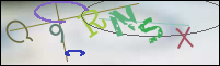 Registration Image