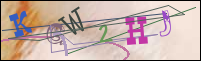 Registration Image