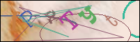 Registration Image