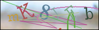 Registration Image