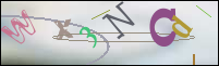 Registration Image