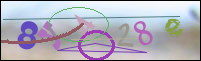 Registration Image