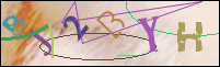 Registration Image