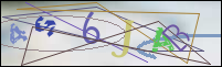 Registration Image
