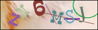 Registration Image
