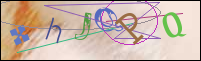 Registration Image