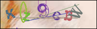 Registration Image