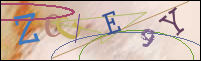 Registration Image