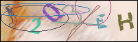 Registration Image