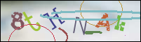 Registration Image