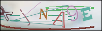 Registration Image