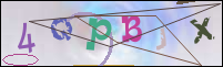 Registration Image