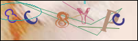 Registration Image