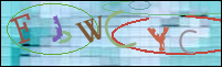 Registration Image