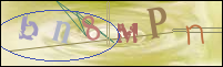Registration Image