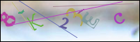 Registration Image