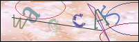 Registration Image