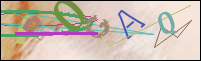 Registration Image