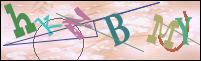 Registration Image