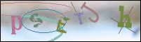 Registration Image