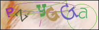 Registration Image