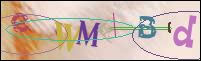 Registration Image