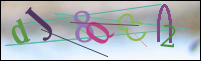 Registration Image
