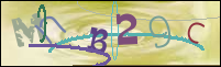 Registration Image