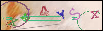 Registration Image