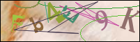 Registration Image