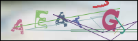 Registration Image