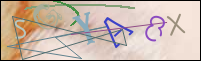Registration Image