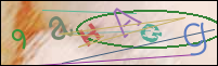 Registration Image
