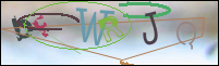 Registration Image