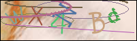Registration Image