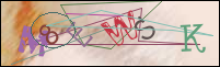 Registration Image