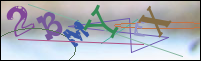 Registration Image