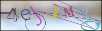 Registration Image