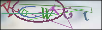Registration Image